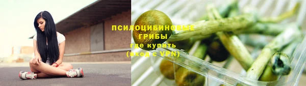 спиды Михайловск
