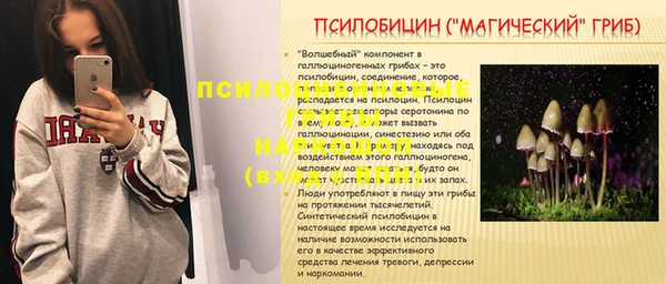 индика Магадан