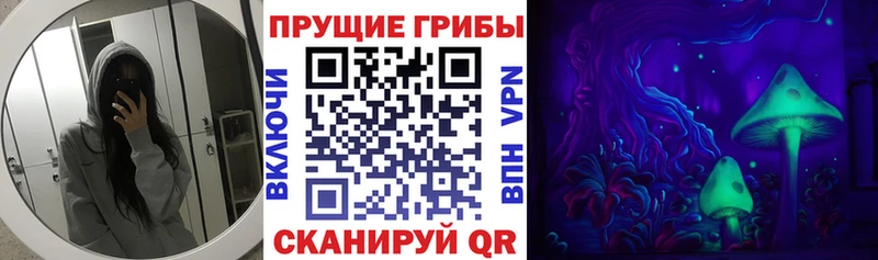 ОМГ ОМГ вход  Мосальск  Псилоцибиновые грибы ЛСД 